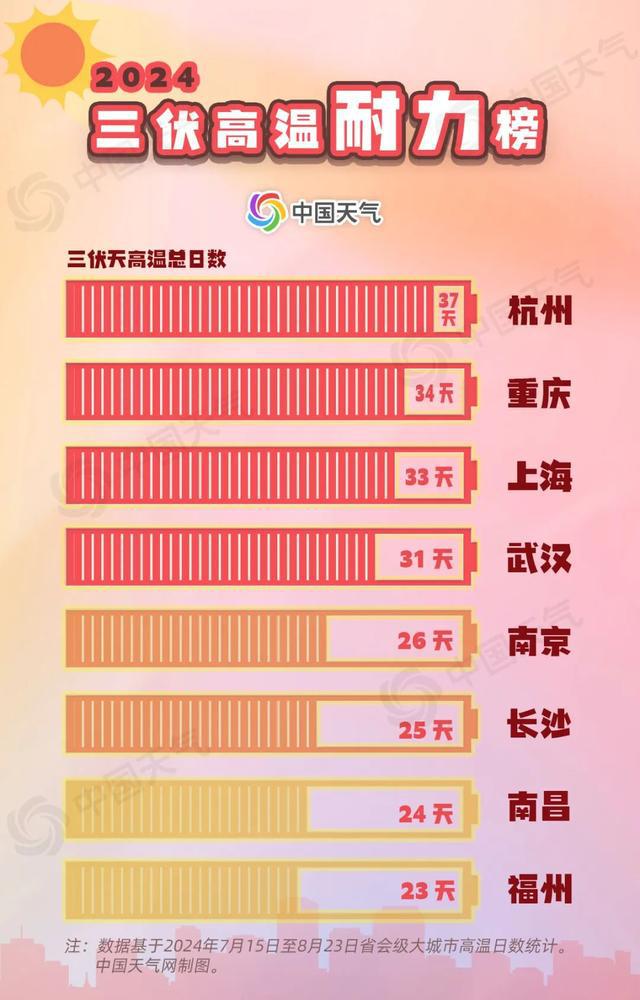揭秘2024年天天彩免費(fèi)資料，真相與策略洞察