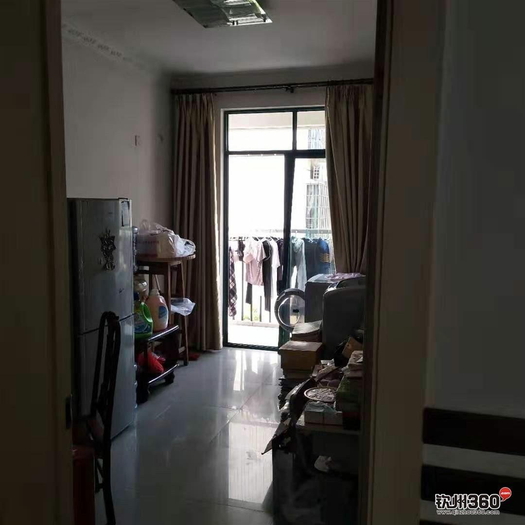 揭秘新奧天天免費資料第53期，探索未來的秘密武器