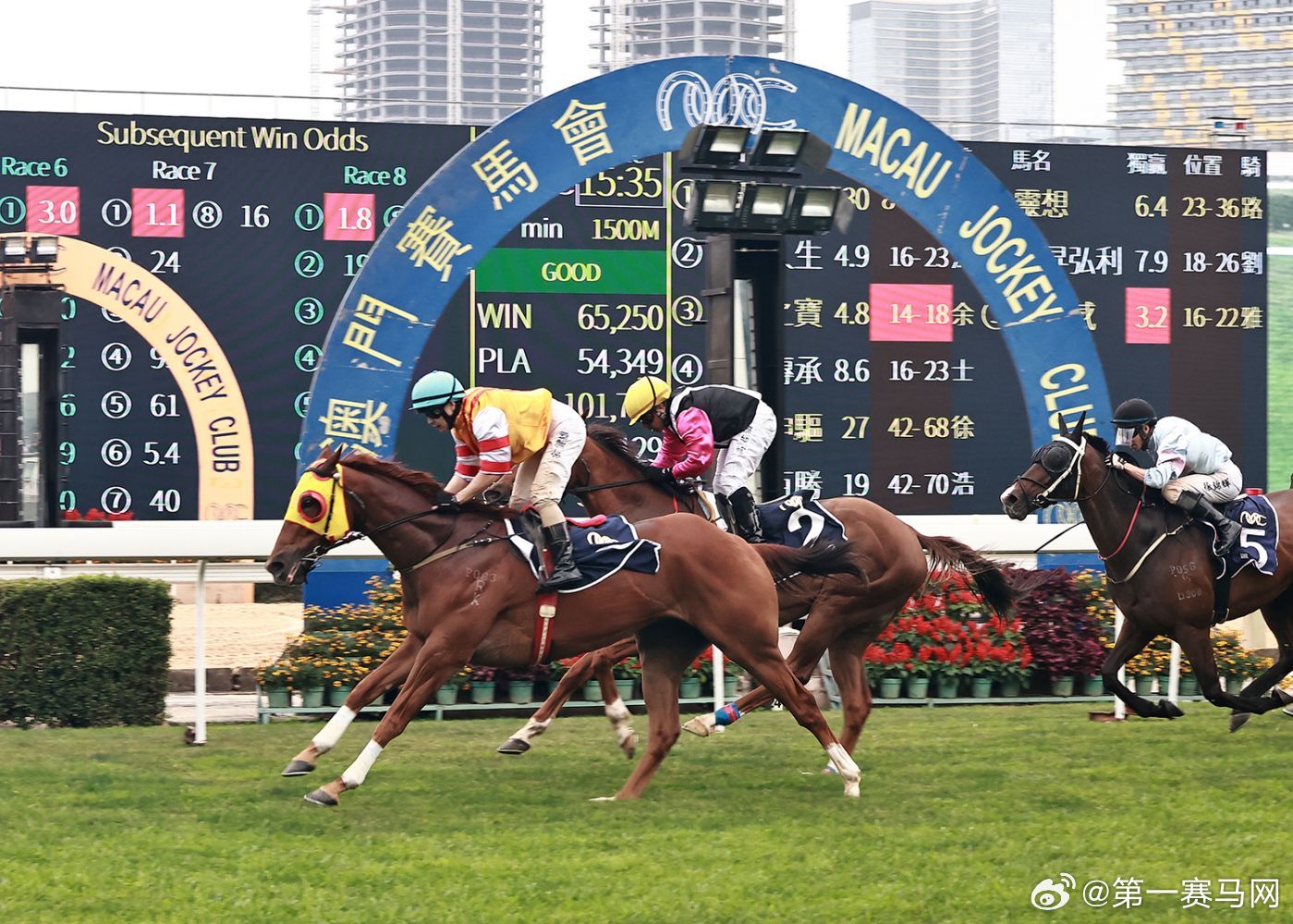 2024澳門特馬今晚開,關于澳門特馬今晚開與違法犯罪問題的探討