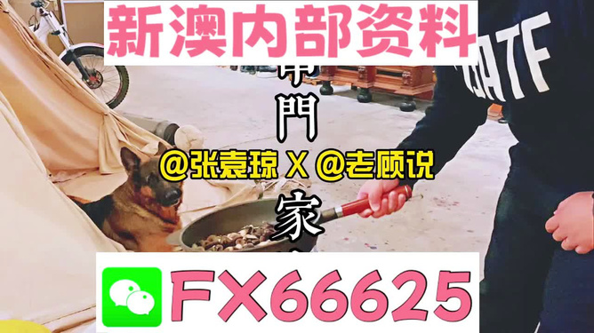 新澳門精準資料大全管家婆料|證明釋義解釋落實,新澳門精準資料大全與管家婆料，證明釋義、解釋及其實踐落實
