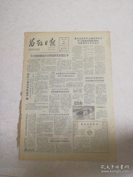 白小姐四肖四碼100%準|視察釋義解釋落實,白小姐四肖四碼，百分之百準確預測的秘密與落實視察釋義解釋