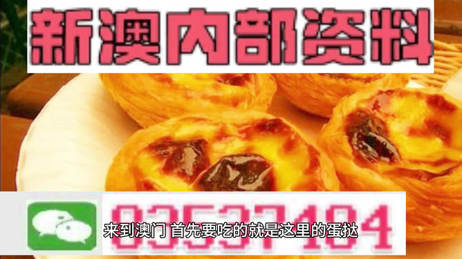 新澳2024年精準正版資料|效益釋義解釋落實,新澳2024年精準正版資料效益釋義解釋落實研究