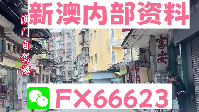 新澳精準資料免費提供50期|傳承釋義解釋落實,新澳精準資料免費提供，傳承釋義、解釋落實與犯罪預防
