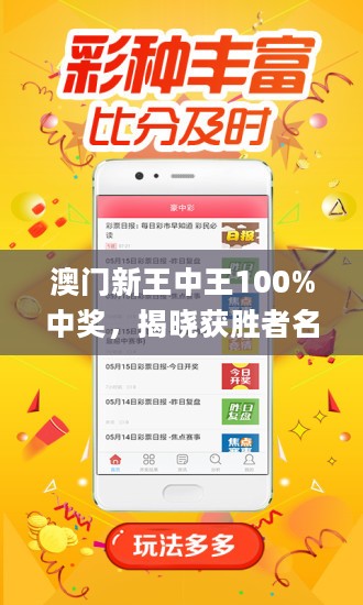 新澳門王中王王中王免費,關于新澳門王中王免費游戲的違法犯罪問題探討