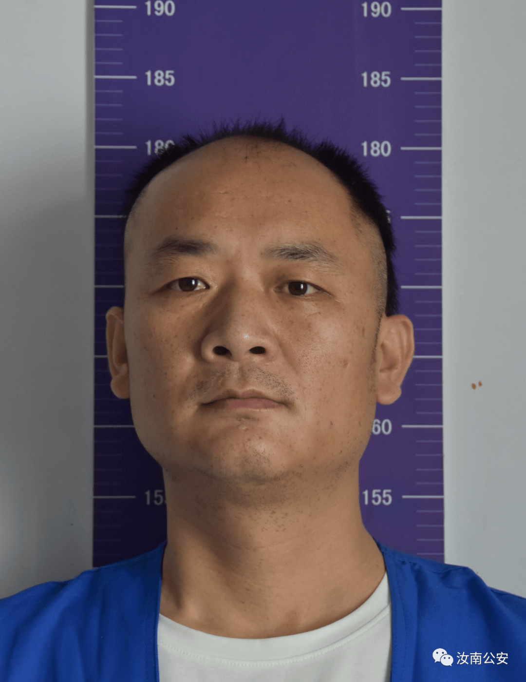 澳門正版資料全免費看,澳門正版資料全免費看，一個關(guān)于犯罪與違法的探討