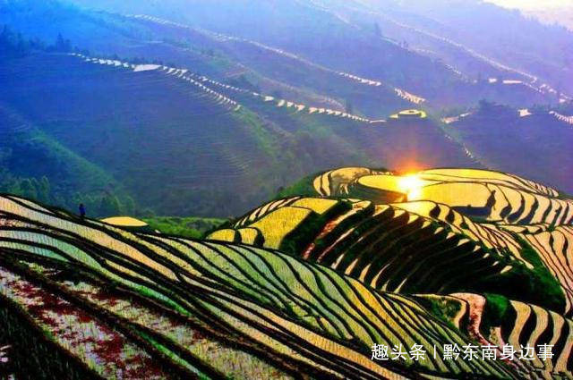 天空彩正版免費資料,天空彩正版免費資料，探索與解析