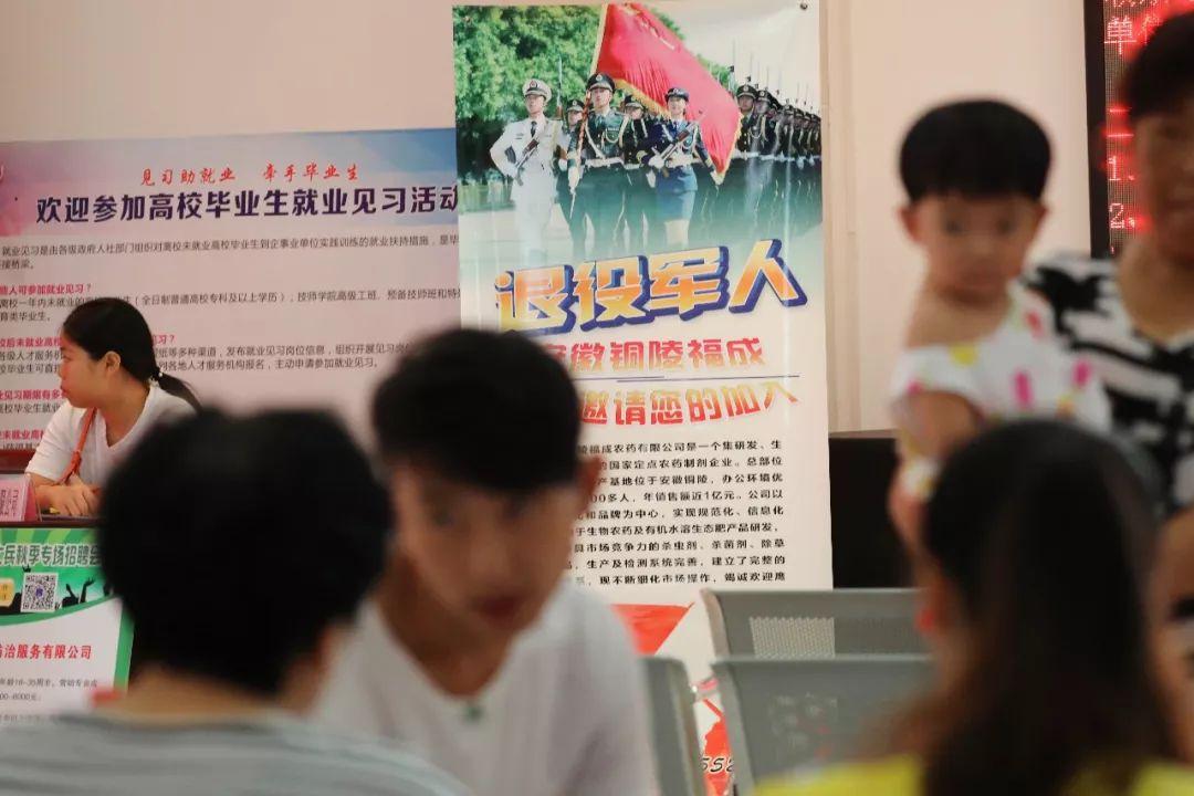 青陽縣最新招聘信息,青陽縣最新招聘信息概覽
