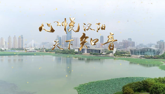 漢陽招聘網最新招聘,漢陽招聘網最新招聘動態深度解析