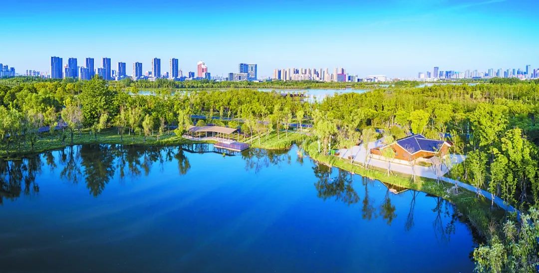 合肥南艷湖最新消息,合肥南艷湖最新消息，生態建設的繁榮與未來的展望