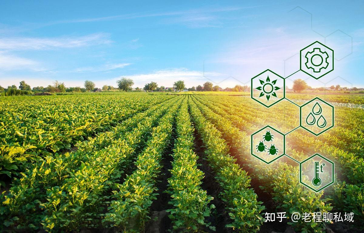 最新種植技術(shù),最新種植技術(shù)，重塑農(nóng)業(yè)的未來