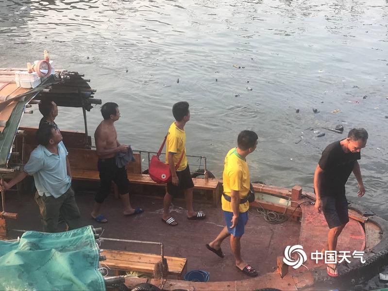 陽江海陵島最新消息,陽江海陵島最新消息全面解讀