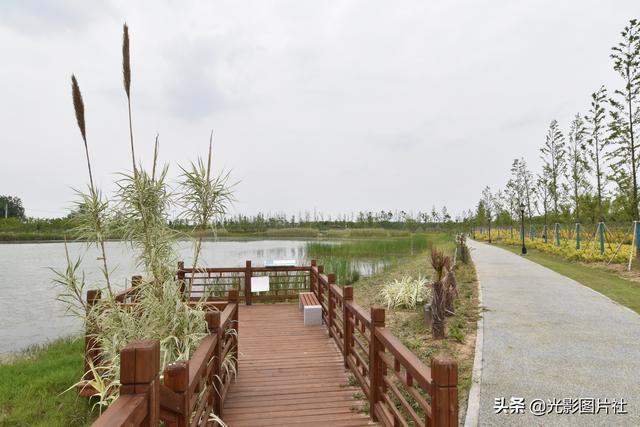 管灣國家濕地公園最新情況,管灣國家濕地公園最新情況