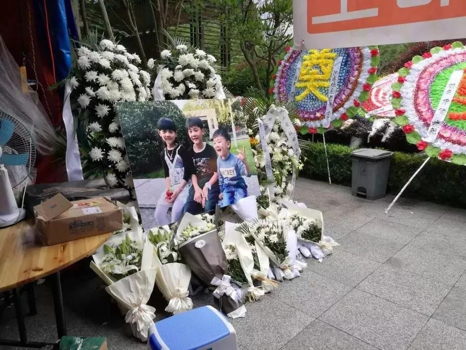 林生斌最新微博七祭,林生斌最新微博七祭，深度解讀與反思