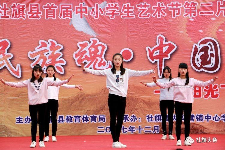 我的怒放人生最新章節(jié),我的怒放人生最新章節(jié)，勇往直前，綻放無限光彩