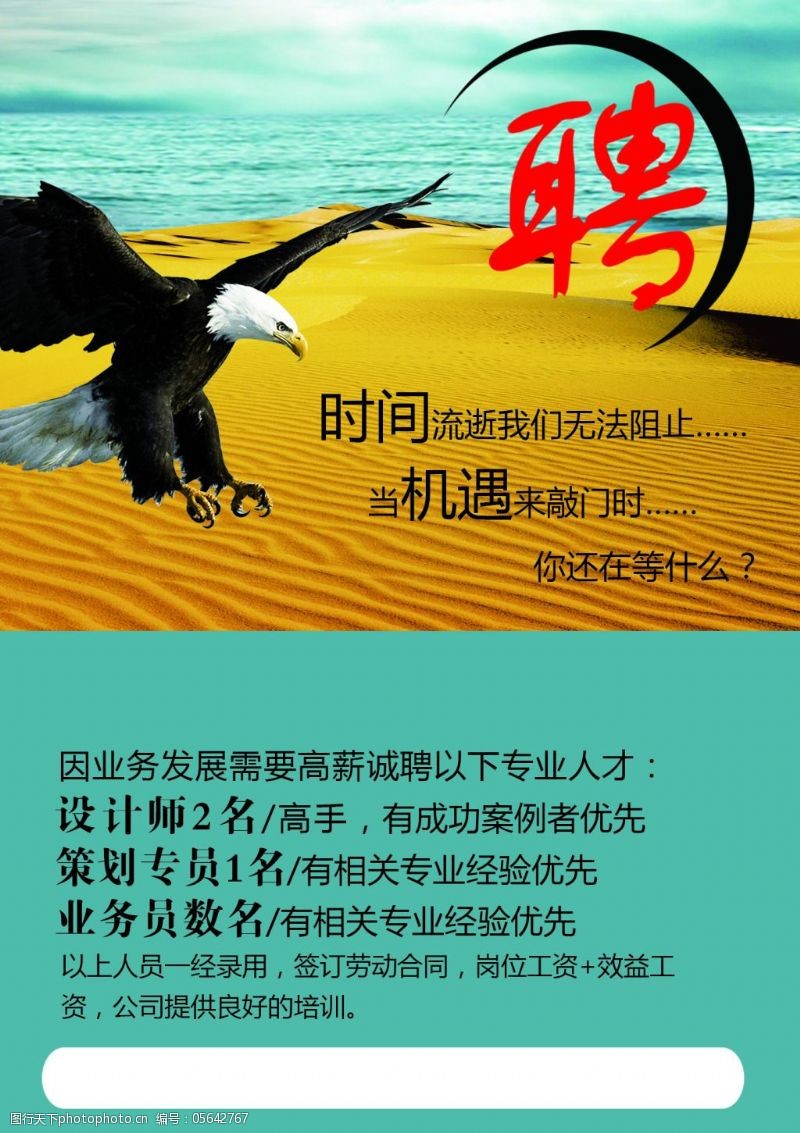 鷹翼無人機最新招聘,鷹翼無人機公司最新招聘動態及展望