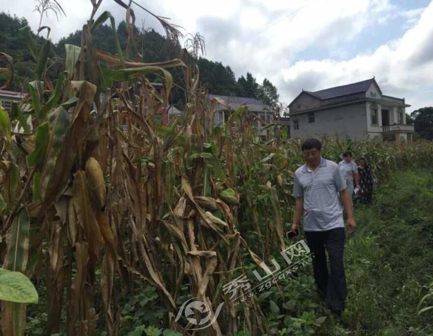 公共頻道百姓調解最新,公共頻道百姓調解最新動態，深化社區和諧，共創美好生活