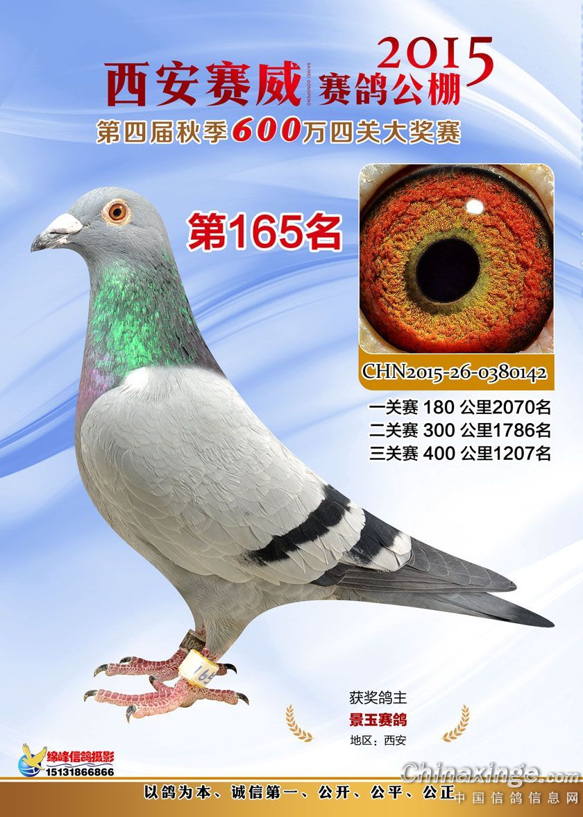 賽威公棚最新消息,賽威公棚最新消息全面解讀