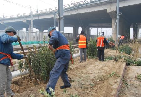 京秦鐵路綠化最新消息,京秦鐵路綠化最新消息