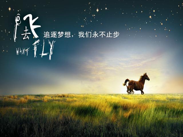 帶木字旁的網名最新版,帶木字旁的網名最新版，探索與啟示