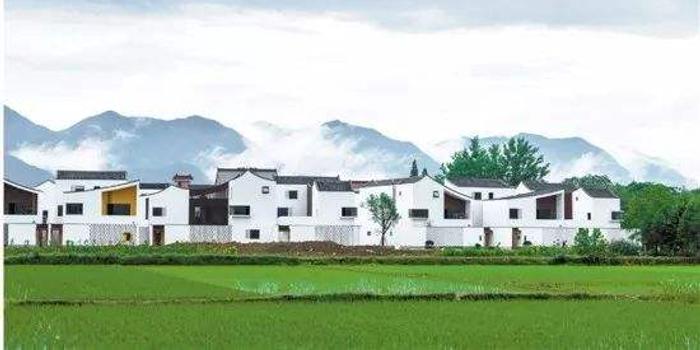 東河沿村改造最新消息,東河沿村改造最新消息，重塑鄉村風貌，推動可持續發展
