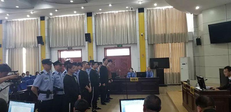 李健2017年最新消息,李健2017年最新消息概覽