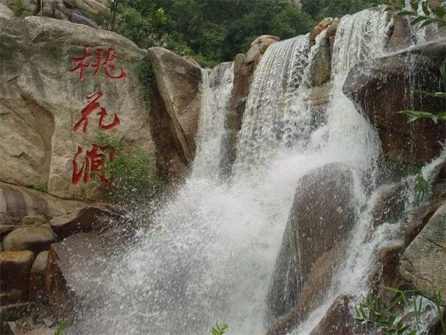 海州批發市場最新動態,海州批發市場最新動態，繁榮景象與未來展望