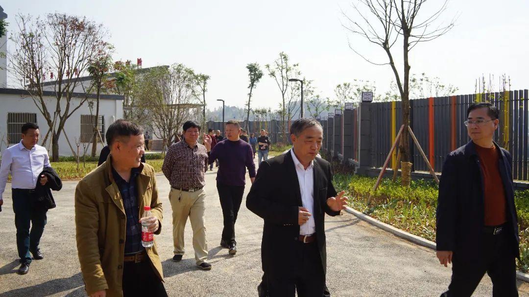 最新嵐角山巴洲村征收,最新嵐角山巴洲村征收動態(tài)