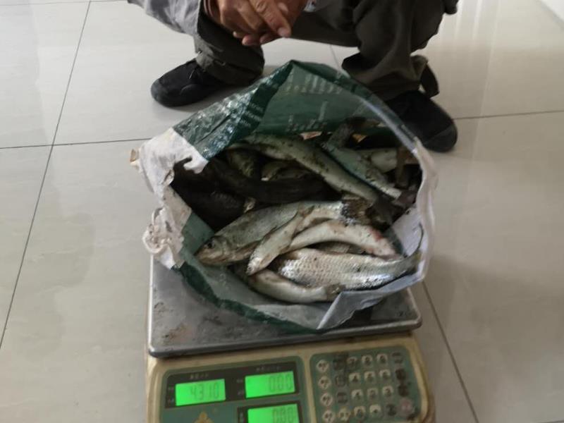 波客千炮捕魚最新官網(wǎng),波客千炮捕魚最新官網(wǎng)，警惕背后的違法犯罪問題