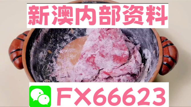 新澳門內部一碼精準公開|精選解釋解析落實,關于新澳門內部一碼精準公開的相關問題探討