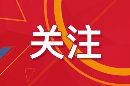 2024新奧最精準資料大全|精選解釋解析落實,揭秘新奧2024年最精準資料大全，深度解析與落實策略