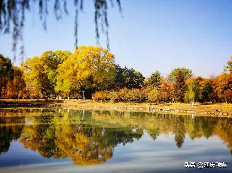 延慶宋最新,延慶宋最新，歷史與現(xiàn)代的交融之美