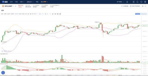 最新中新債,最新中新債，深度解析與前景展望