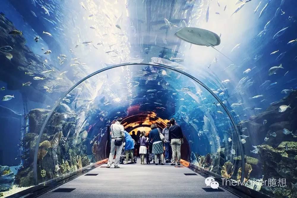 水族店最新,水族店最新動態，引領水族行業邁向新的里程碑