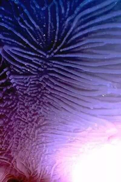 最新微痕,最新微痕，探索微小變化中的大千世界