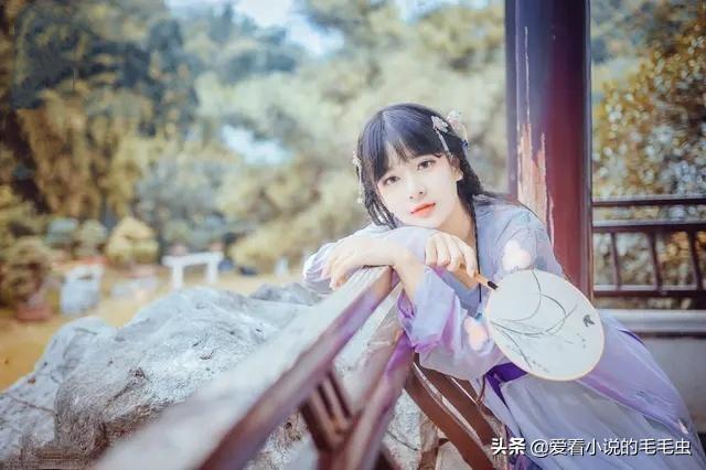 書呆風(fēng)流最新,書呆風(fēng)流再現(xiàn)，最新視角下的文化解讀與探索