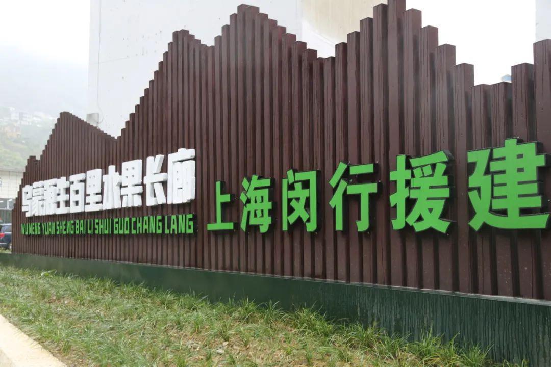 最新的桔子,最新桔子，美味與健康的新篇章