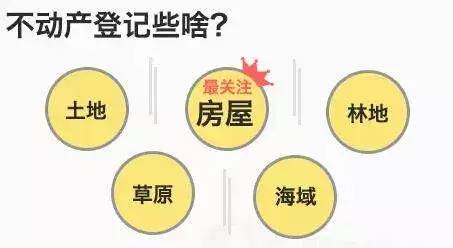 幻影青狐 第8頁