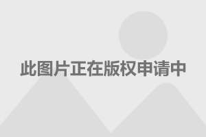 大連千兆最新,大連千兆最新，科技、發展與城市進步