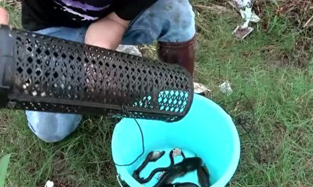 魅影鬼仙 第9頁