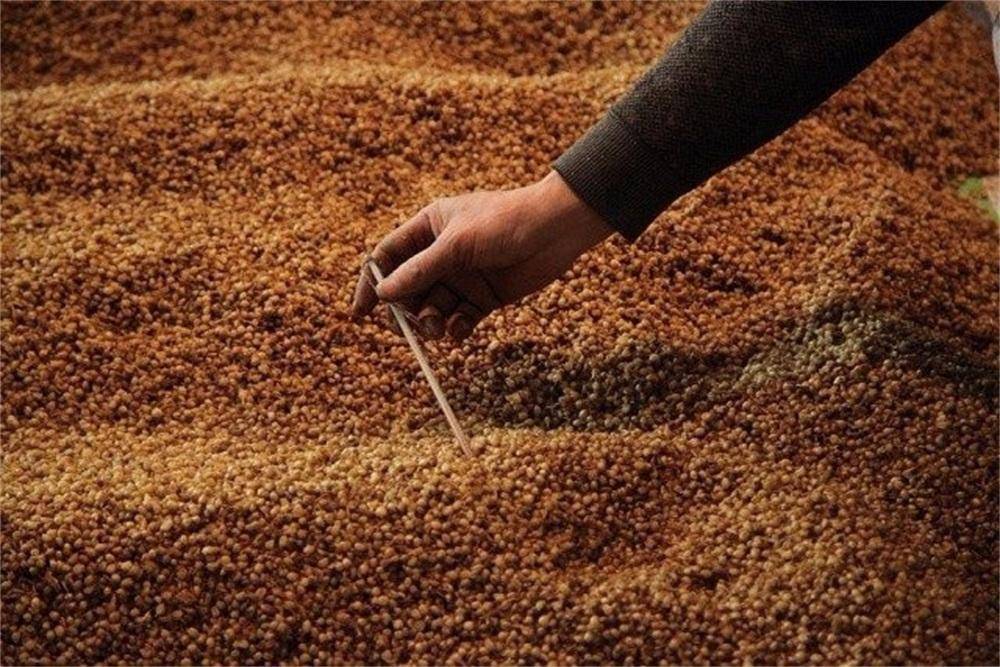 最新被屏蔽,最新被屏蔽現象，探究背后的原因與影響
