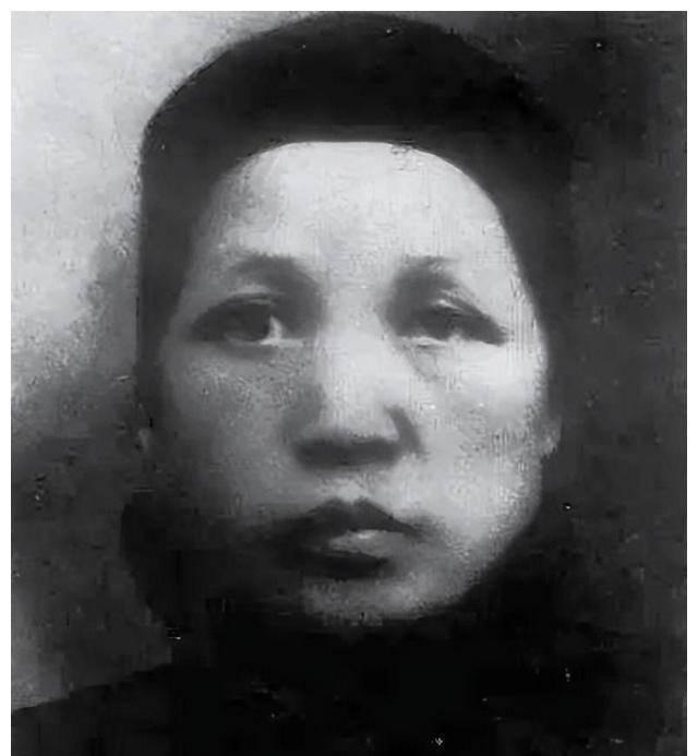 好妻子最新,塑造新時代的好妻子形象，最新視角下的探索與啟示