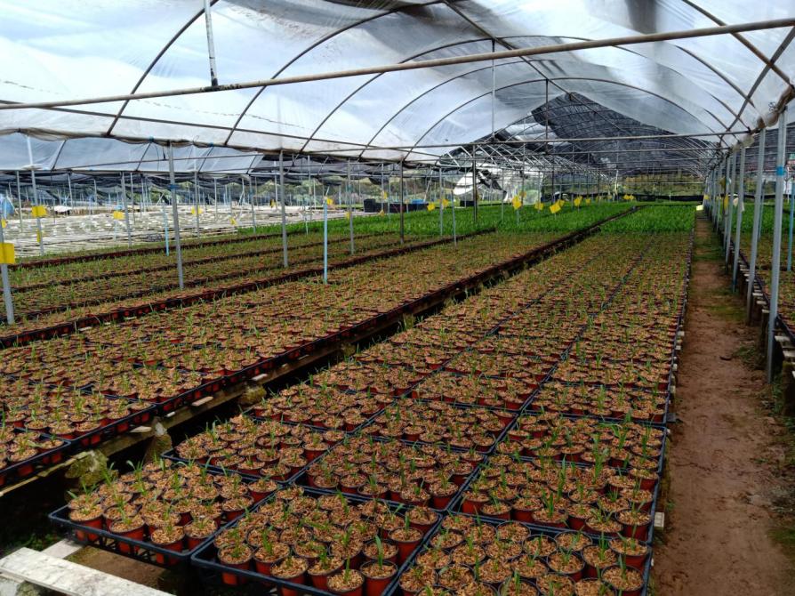 最新開放,最新開放，探索時代的新機遇與挑戰
