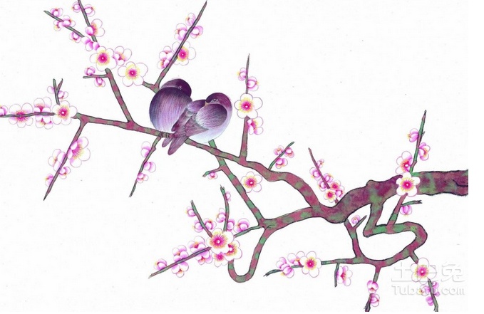 花鳥圖最新,花鳥圖最新趨勢，探索自然之美與現(xiàn)代藝術(shù)的融合