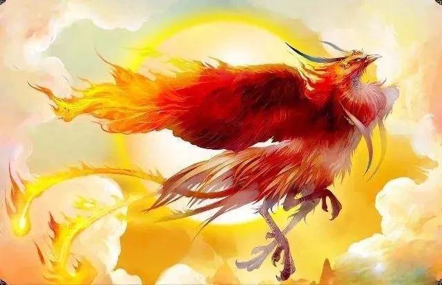 最新鳳凰飛,最新鳳凰飛，從古老神話到現代傳奇的演變