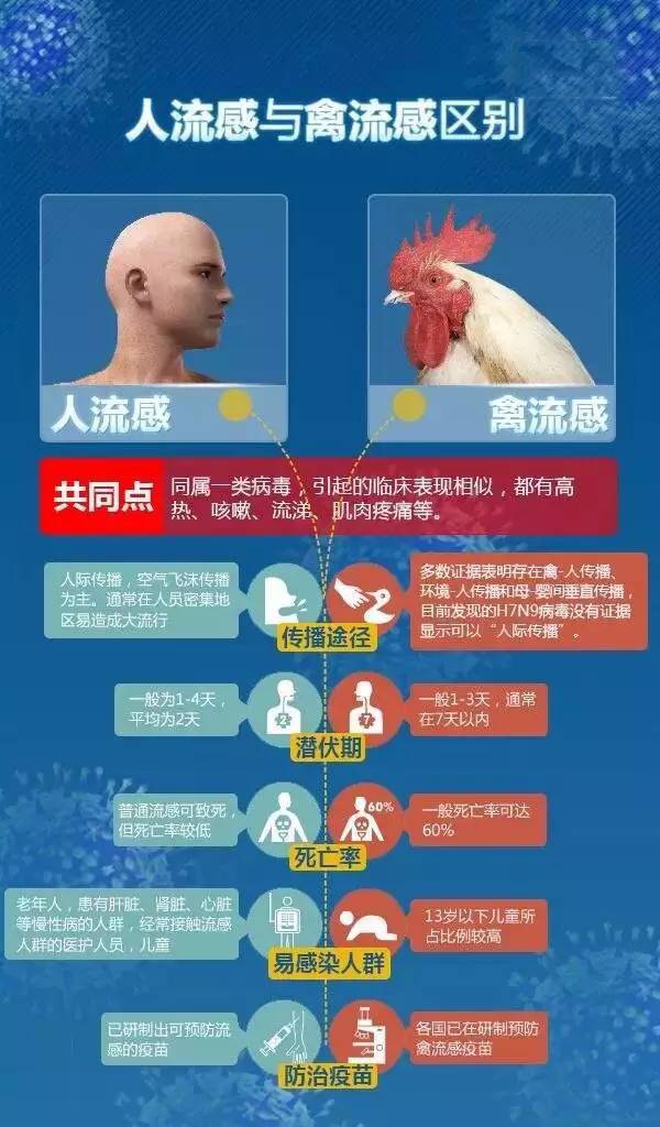 綿陽最新流感,綿陽最新流感概況及其影響