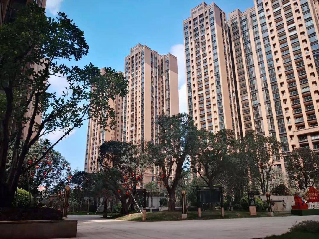 糧庫火災最新,糧庫火災最新情況分析