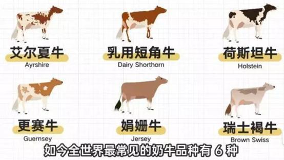 皇家農(nóng)場最新,皇家農(nóng)場最新動態(tài)，引領(lǐng)現(xiàn)代農(nóng)業(yè)發(fā)展的先鋒典范