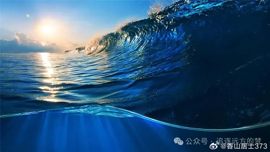 日向海最新,日向海最新動態，探索前沿，展望未來發展