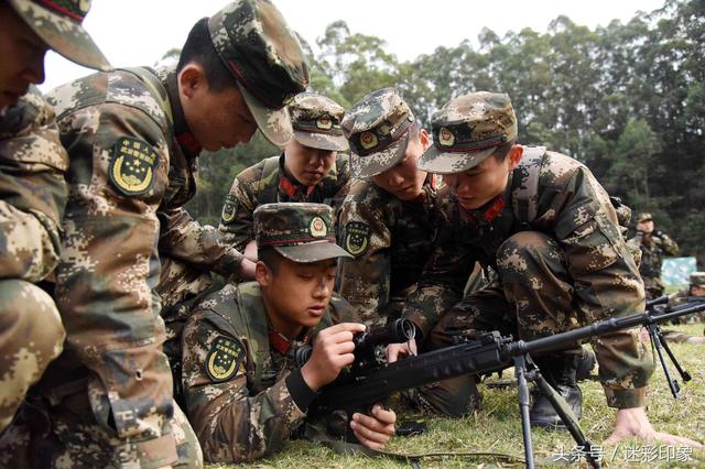 武警迷彩最新,武警迷彩最新，探索新時代軍迷文化的魅力與變遷