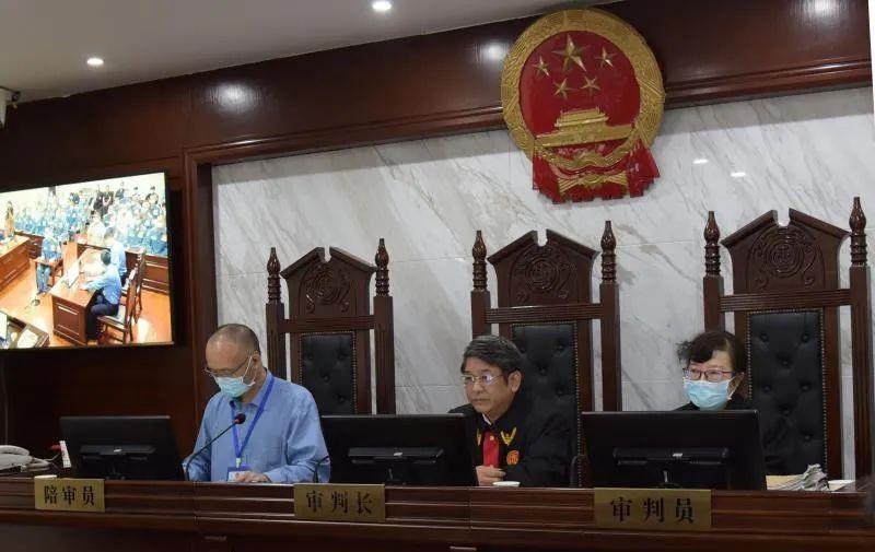 岳陽防疫最新,岳陽防疫最新動態(tài)，筑牢防線，守護(hù)健康之城